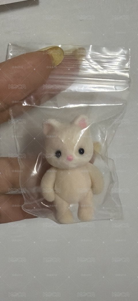 森林家族 白貓寶寶