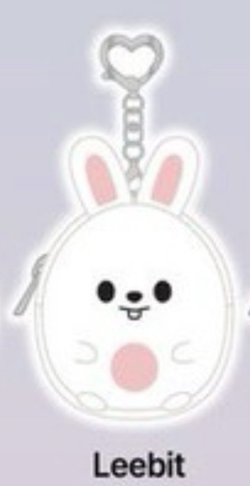 SKZ動物方程式零錢包全新