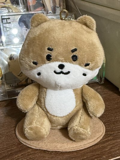 SEVENTEEN S.COUPS JOSHUA DINO 哲 秀 燦 坐娃 十週年手燈