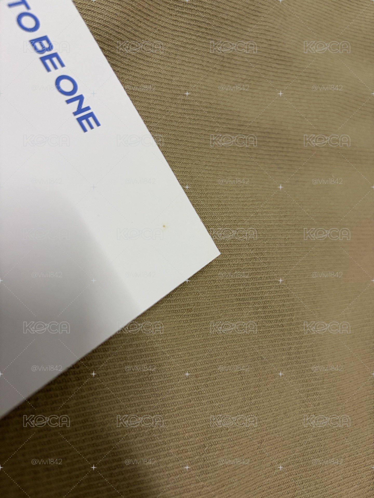 Wanna one 出道專