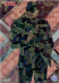 enSKY 閃亮 透卡 