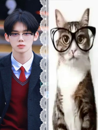 都4崔然竣🐱