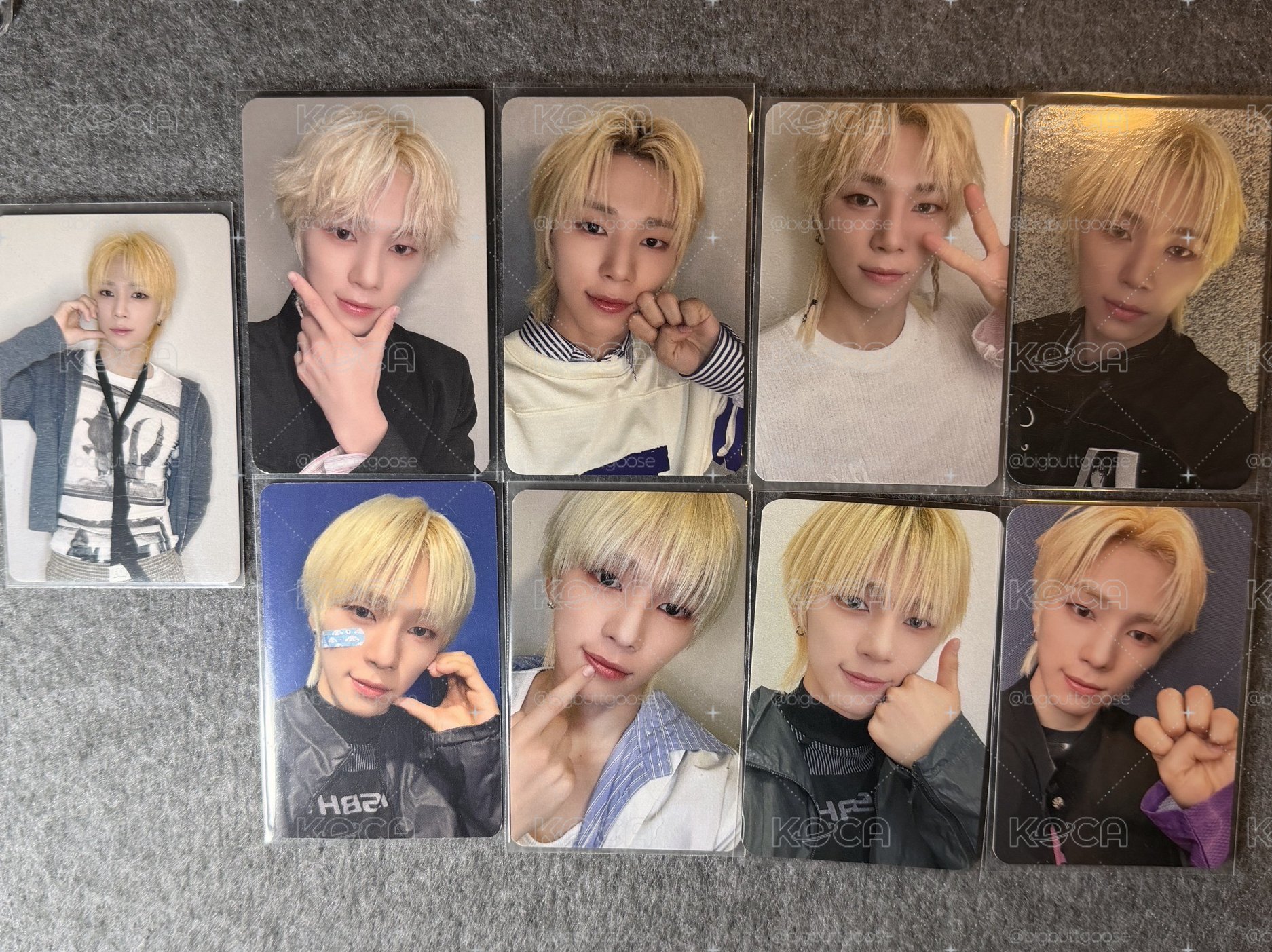 NEXZ 金髮狗尼盤