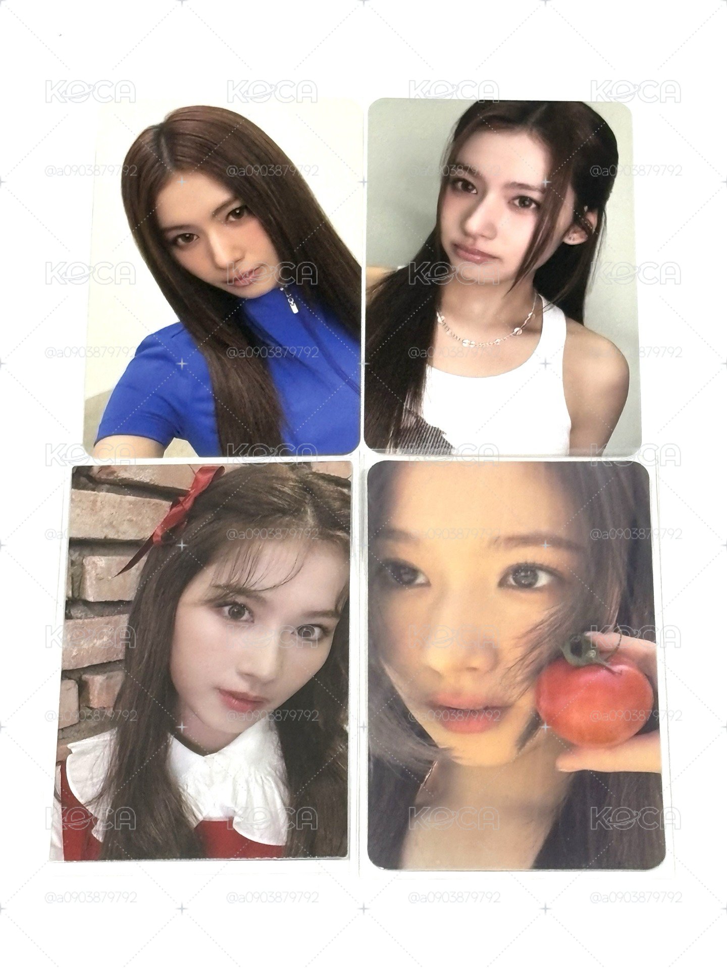 SANA小卡