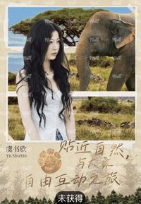 雙軌 戲劇卡 棲護