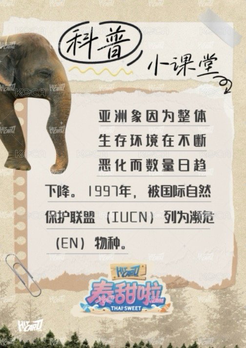 雙軌 戲劇卡 棲護 背面