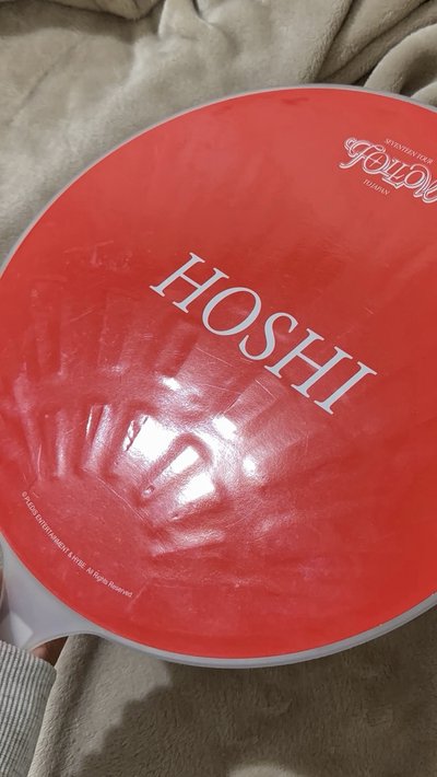 FOLLOW 日巡大扇 扇子 