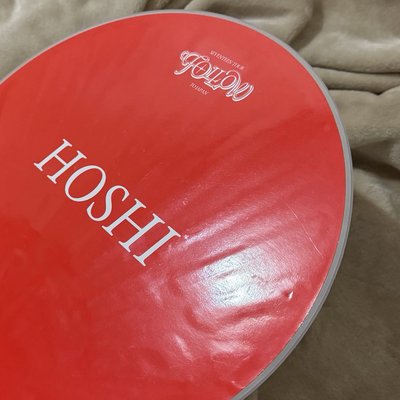 FOLLOW 日巡大扇 扇子 