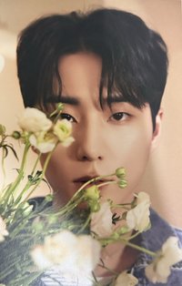 迷八 明信片 