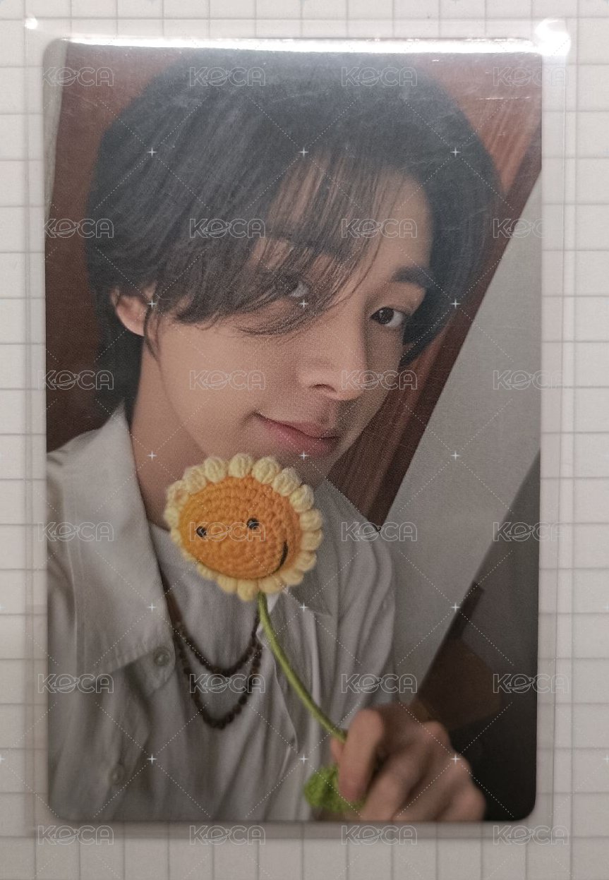 🌻