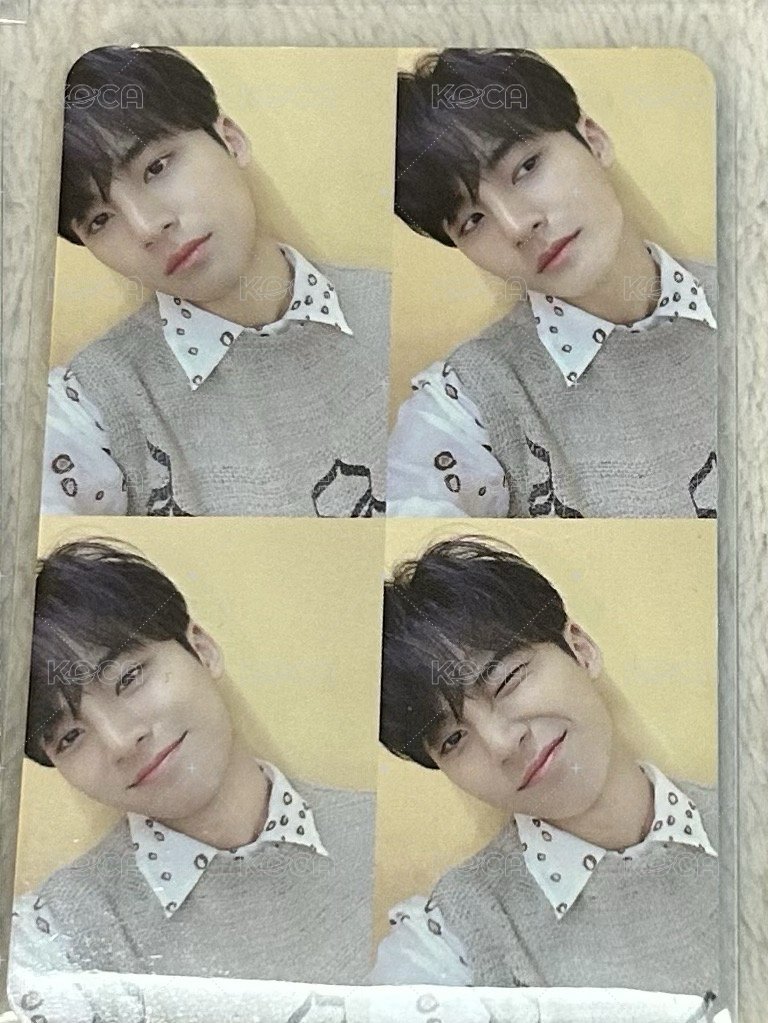 奎