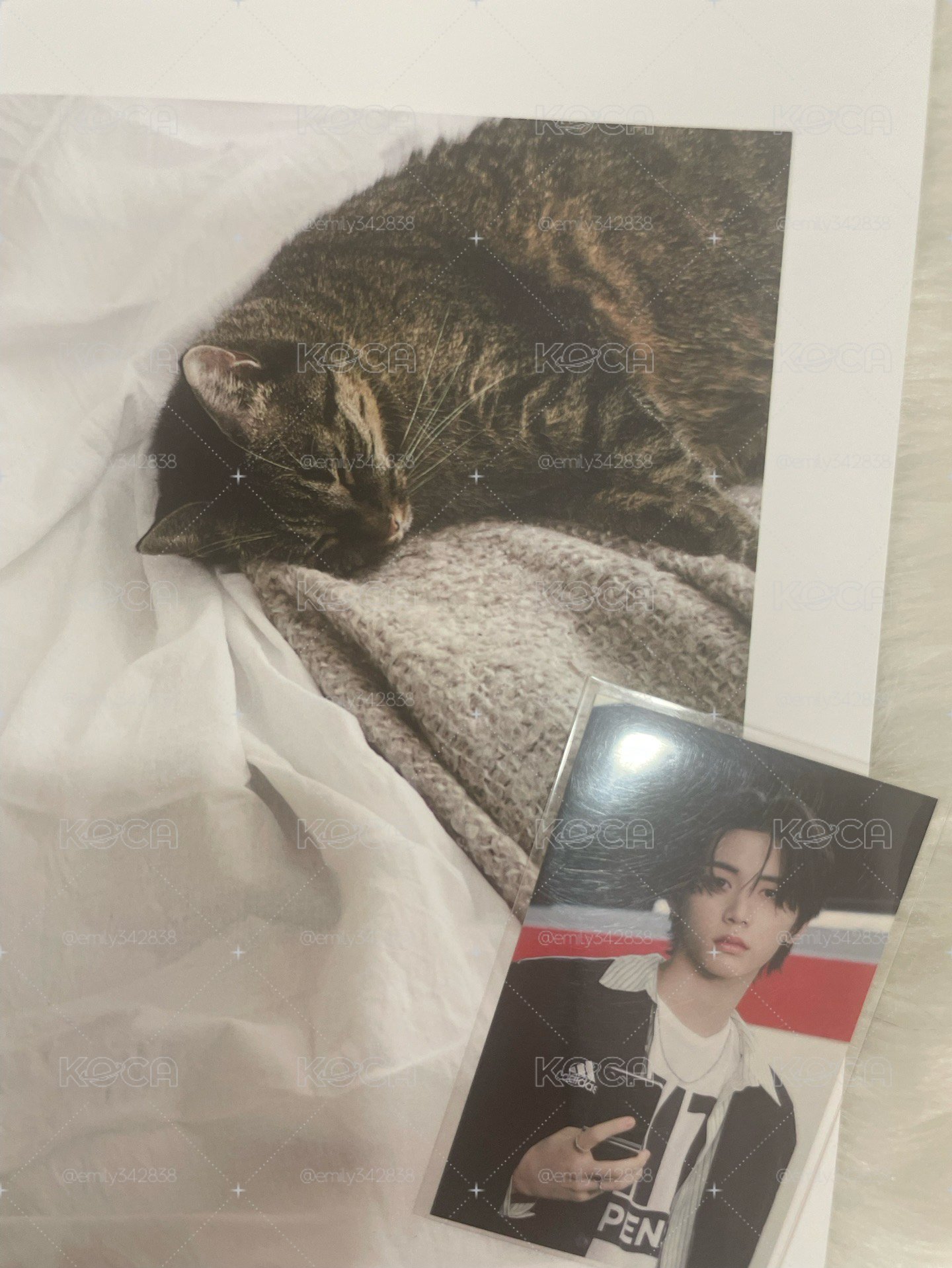 🍀【BND】🐈‍⬛塔店特典
