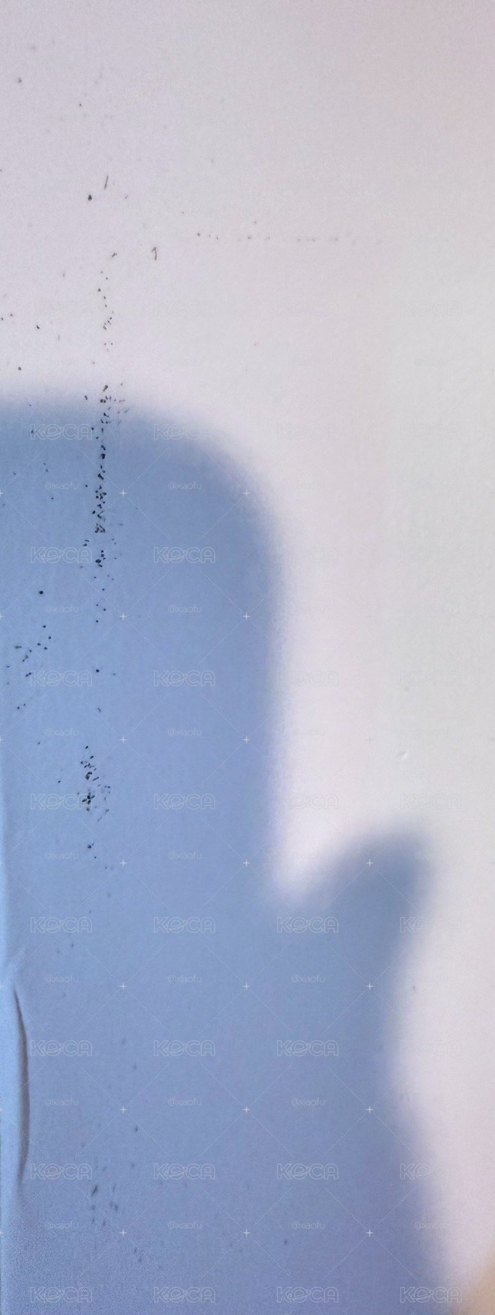 blackpink粉膠 僅沒有小卡