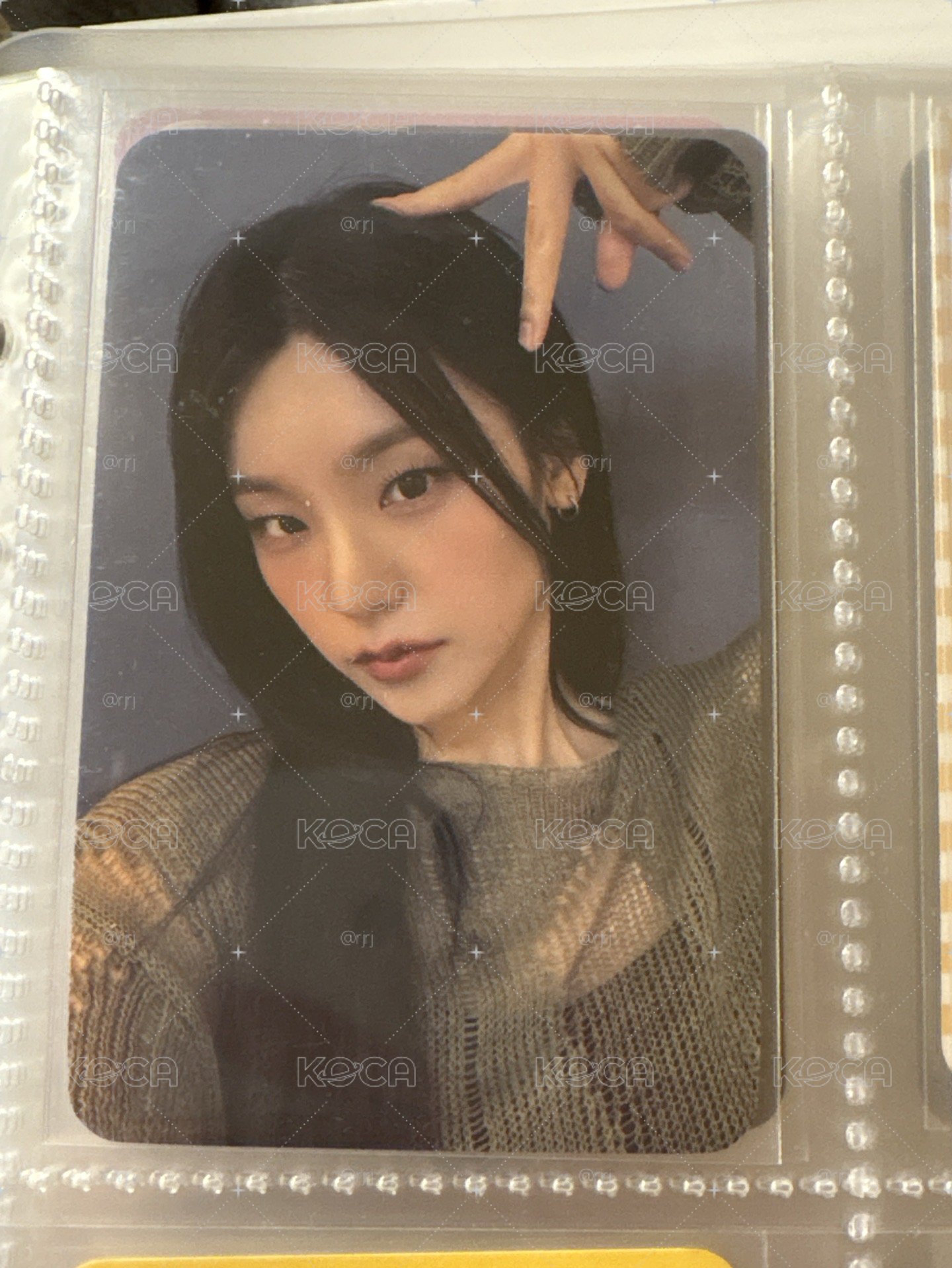 貓耳志
