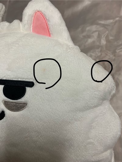 勇猛抱枕（有小髒污）