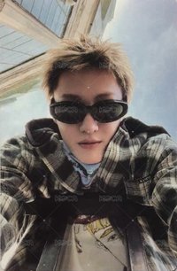 🔺黑膠馬