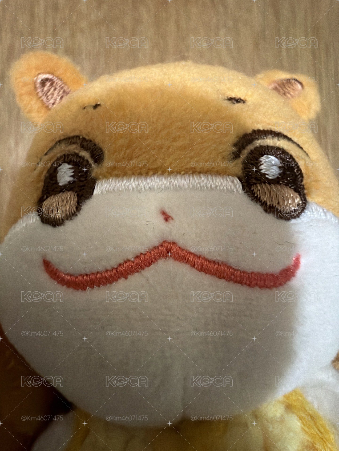 ANITEEZ IN THE CALLING 弘中套餐（需多帶🏴‍☠️)