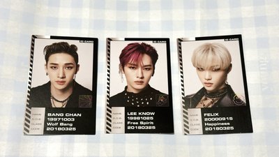 銅板價💫SKZ ORRDINARY 專卡 雙人卡 ID卡 特典卡