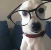 小異