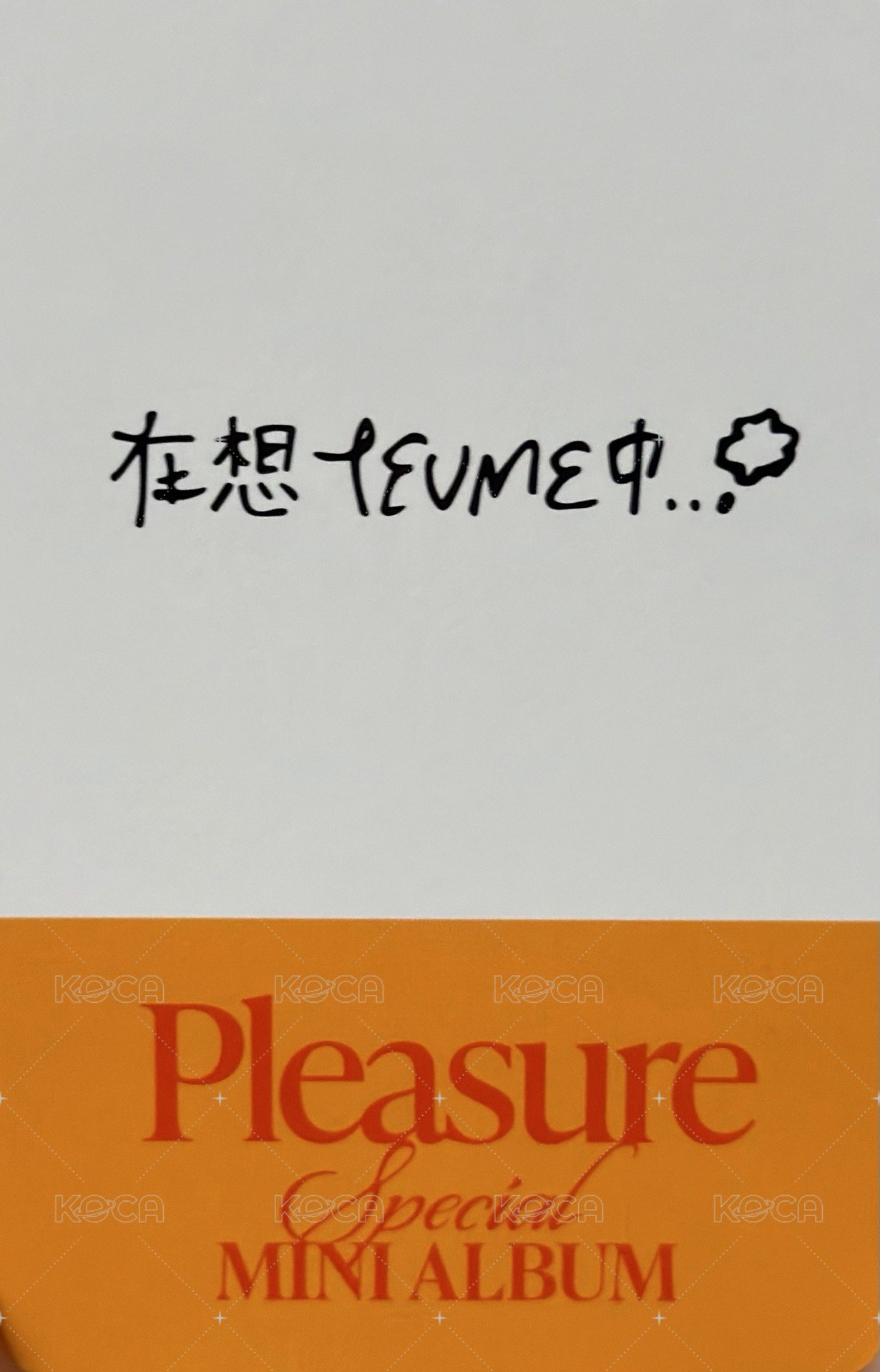 PLEASURE k4 單封預售 特典卡  背面