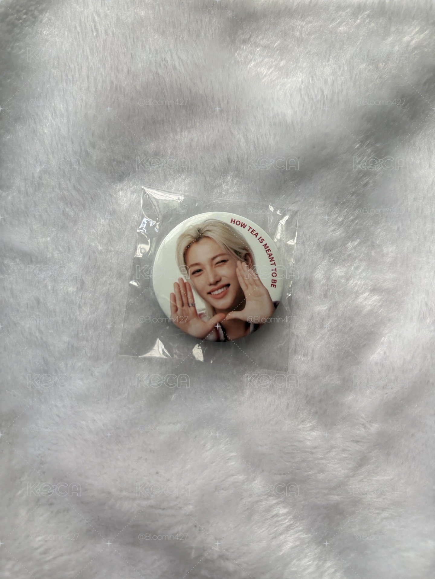 STRAY KIDS FELIX 李龍馥 貢茶 徽章
