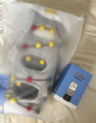 ⚡️SEVENTEEN Miniteen 聖誕節 音樂盒 大娃 O.C.L