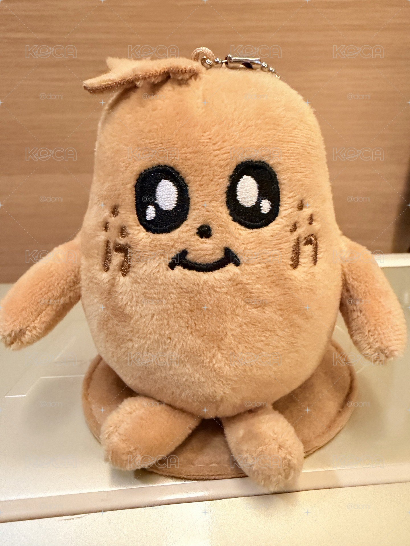 奎坐娃 不綁直出