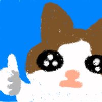 Pynn
