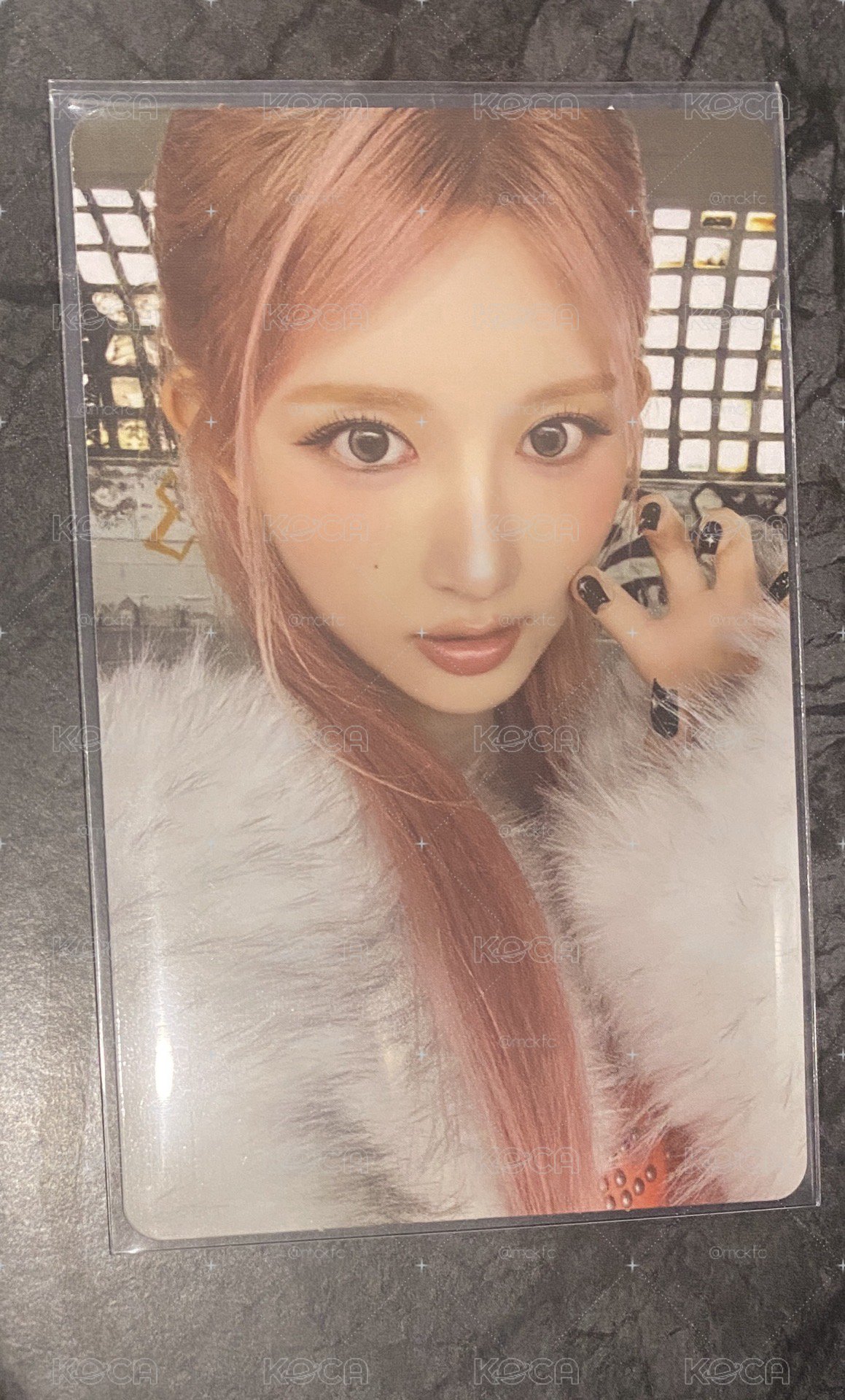 REVIVE+ 專輯卡 PETIT-IVE ver.🐿️🐿️🐿️