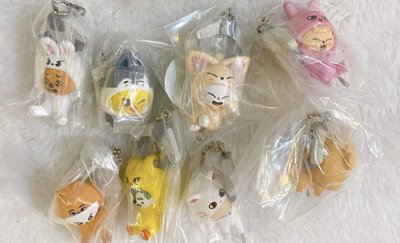 SKZOO扭蛋（小夜燈+玩具世界一套暫不拆）