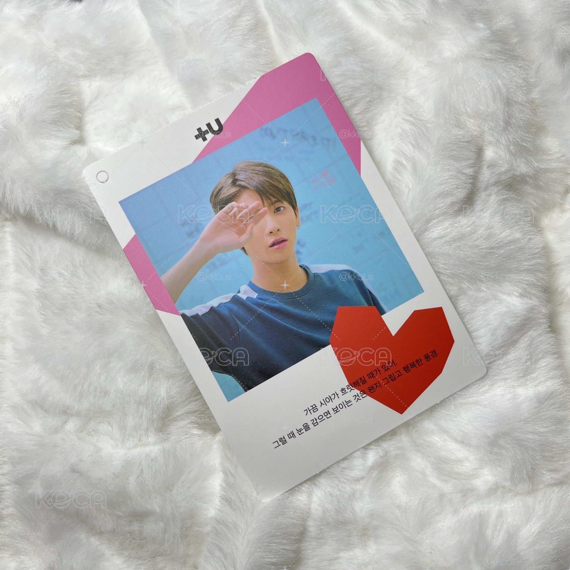 TXT🍭｜姜太顯 專卡 +U卡