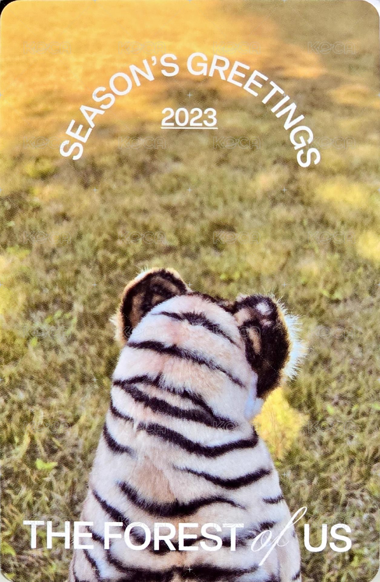 2023年曆 Bizent 預購 特典卡  背面