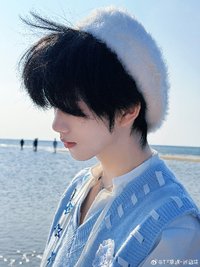 瑞猫向文