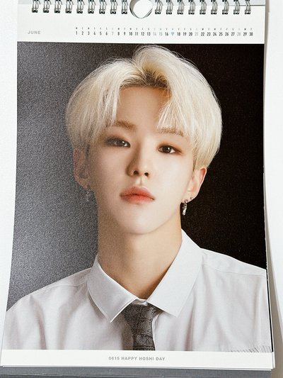 Seventeen 2020 japan official calendar 