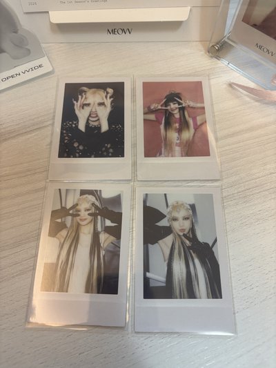 BORN PINK 專輯卡 Gray ver.Pola A /B ver.