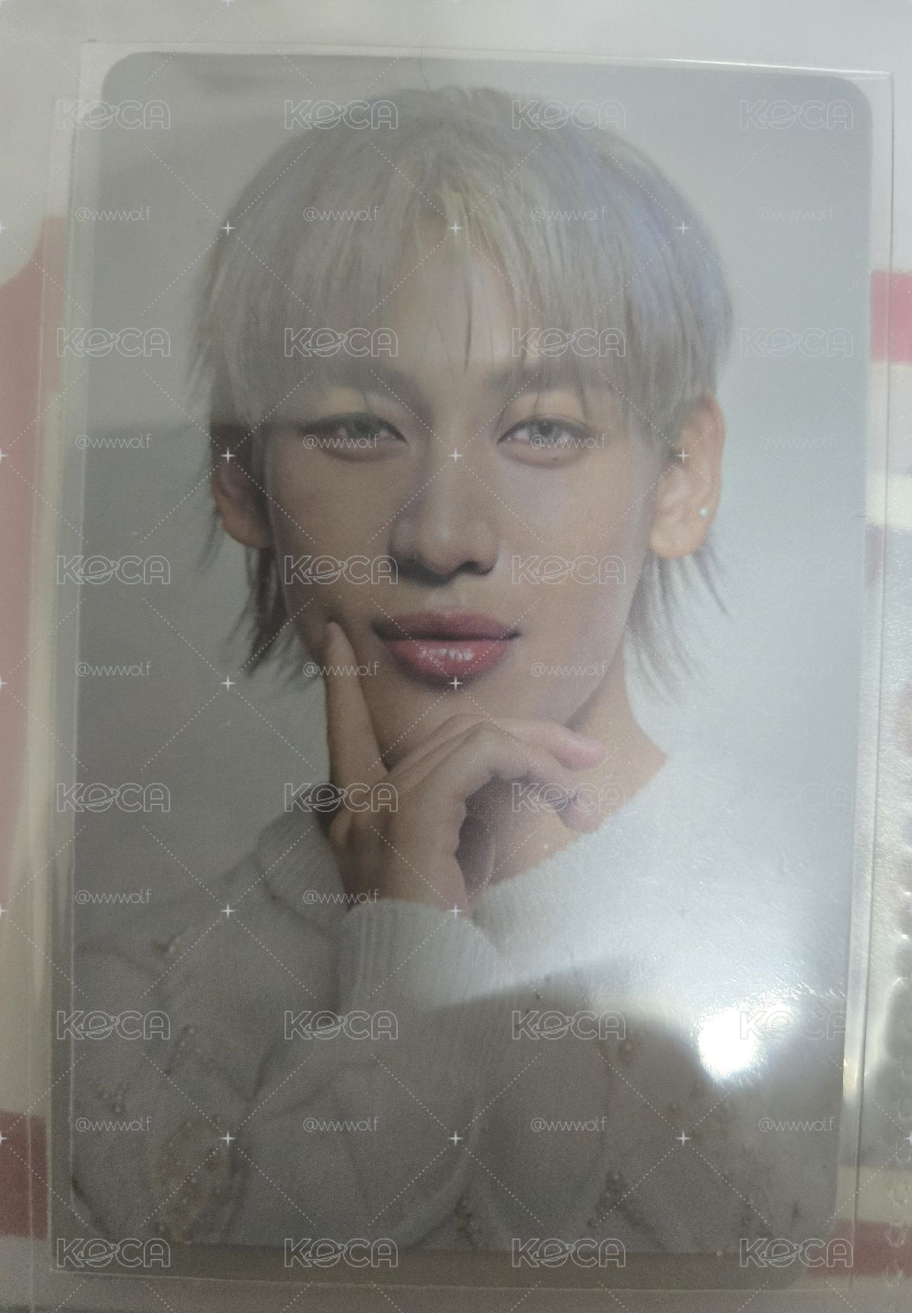 NESTFEST 隨機卡 BAMBAM