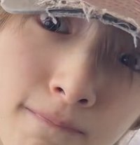 貓咪狗