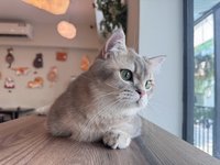 冬冬冬冬