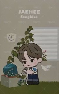 NCT CCOMAZ  日本 隨機卡  背面