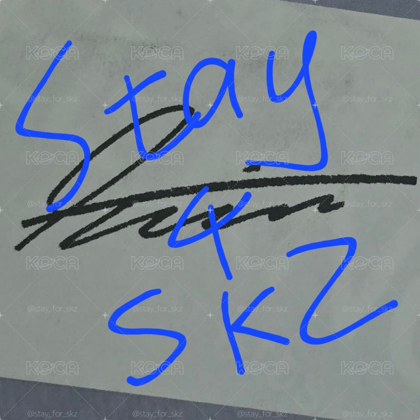 Stray kids 329飯咪雙人場限卡2張 贈飯咪成員簽名紙花