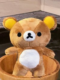 不能便秘