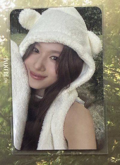 熊帽紗