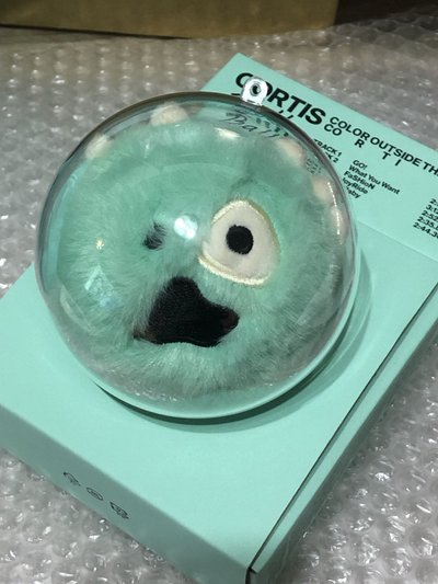 （預購）CORTIS 球專透明保護殼 