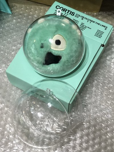 （預購）CORTIS 球專透明保護殼 