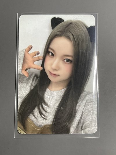 NMIXX am動物塑圭