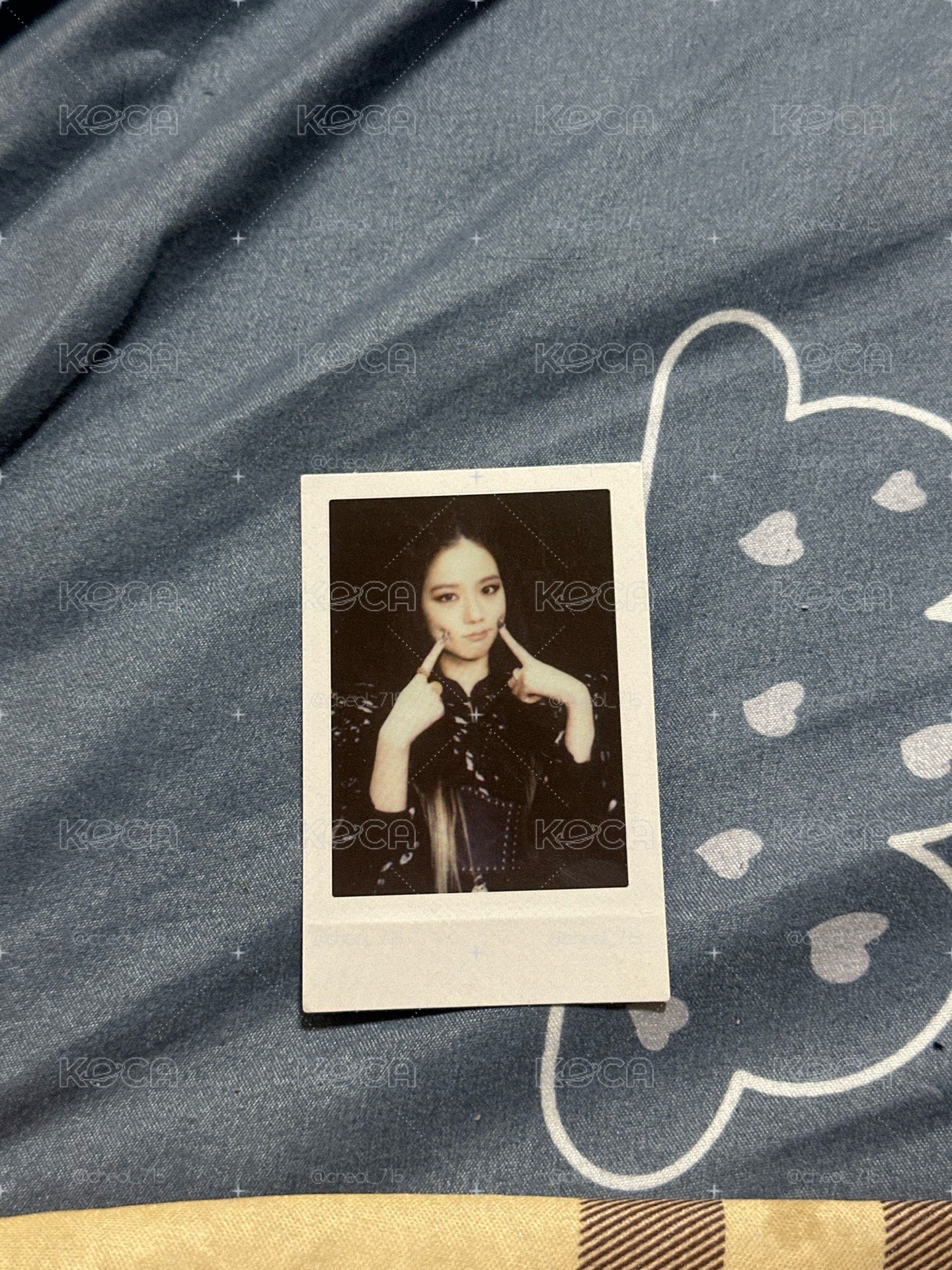 jisoo 小卡