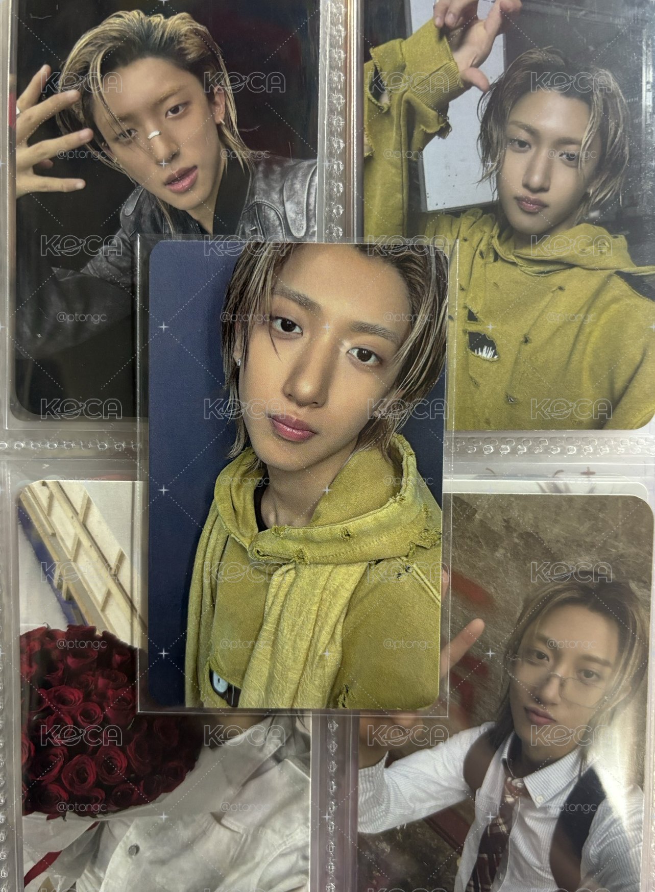 🐘🐕ia 線上簽售卡 