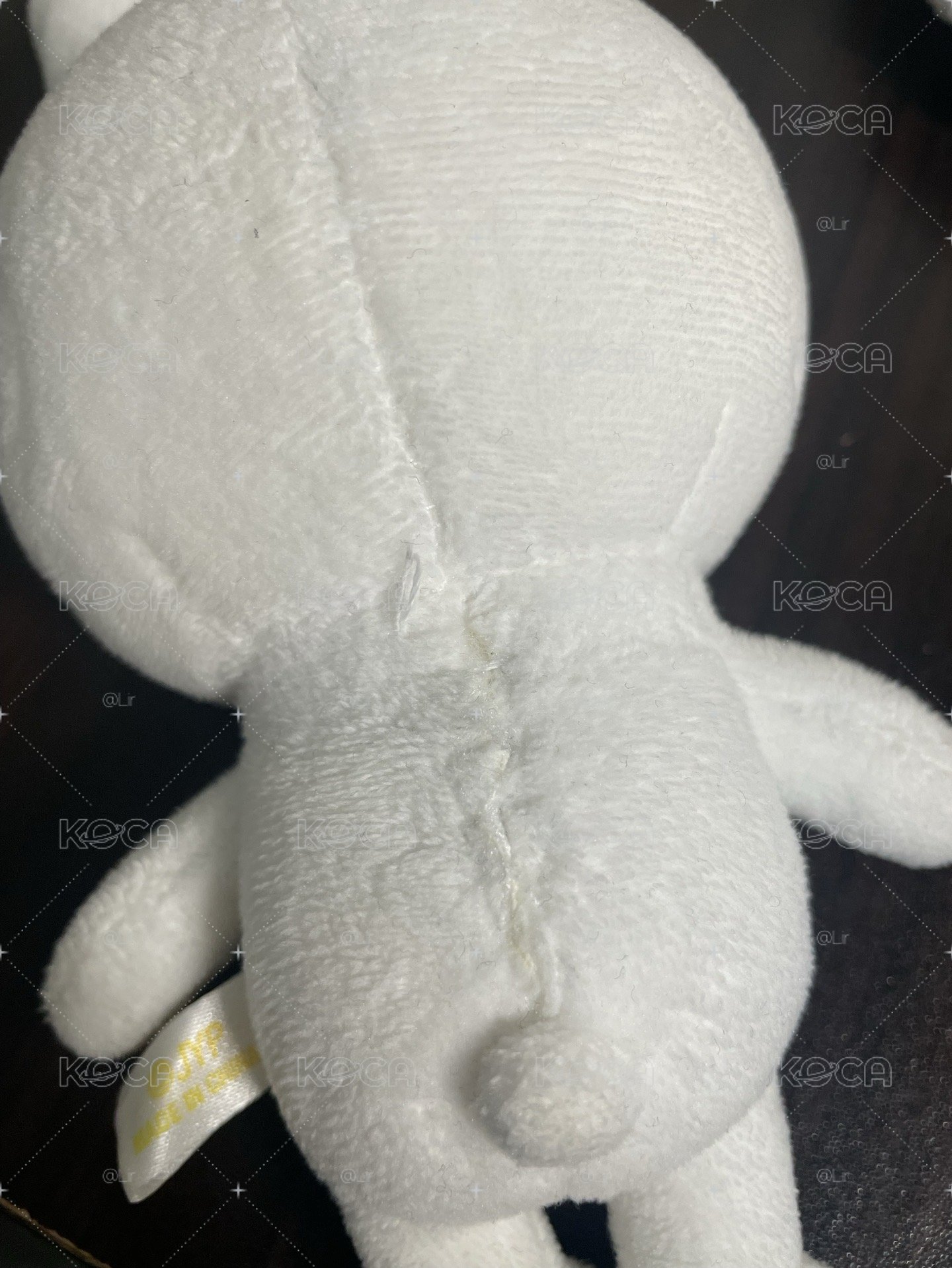 李畢小娃