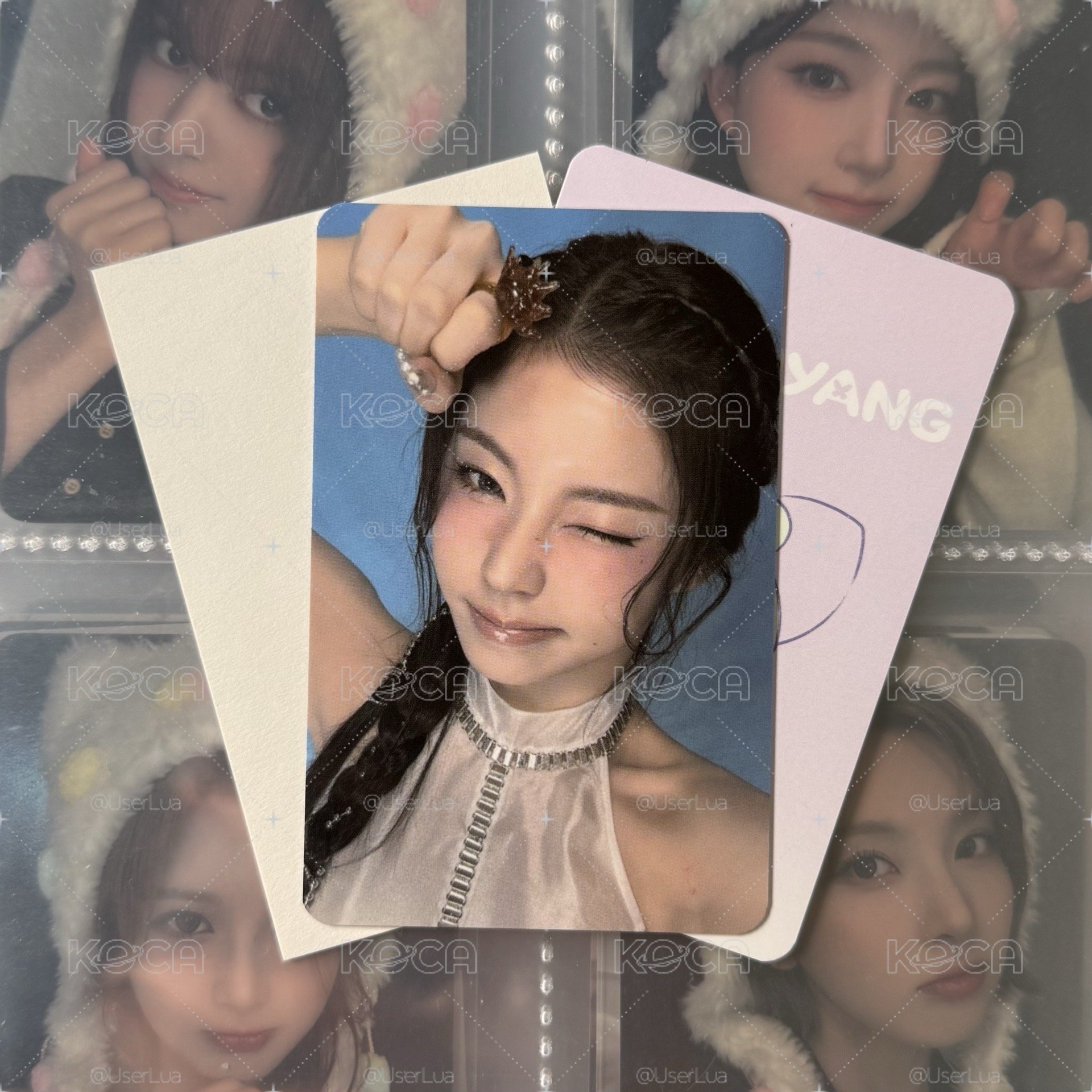 🌟世巡卡套卡 圭