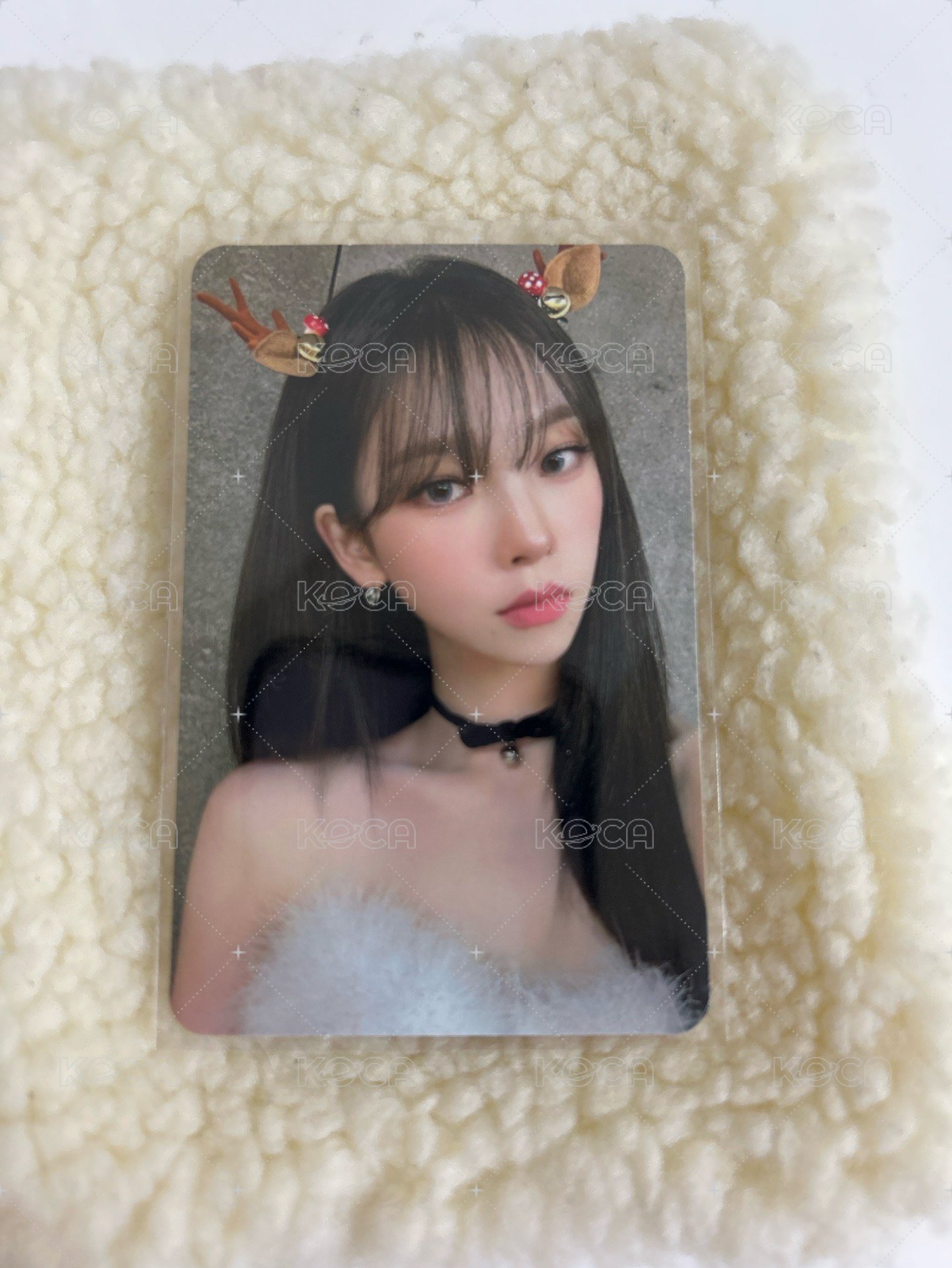 聖誕隨機柚